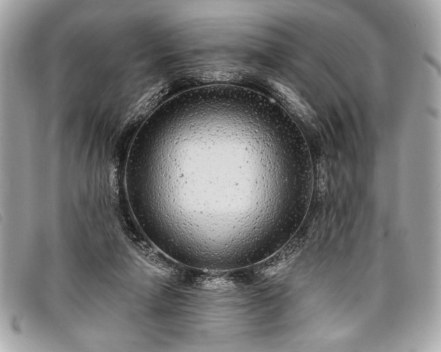 X0000098010258200804071335