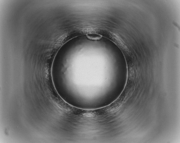 X0000098010259200804071335