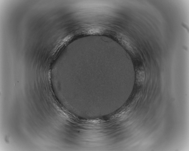 X0000098010260200804071335