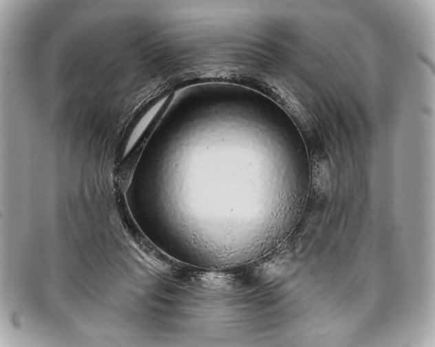 X0000098010261200804071335