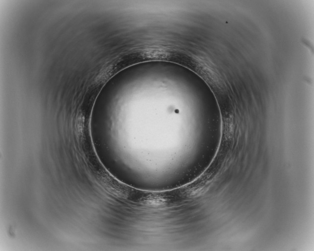 X0000098010263200804071335