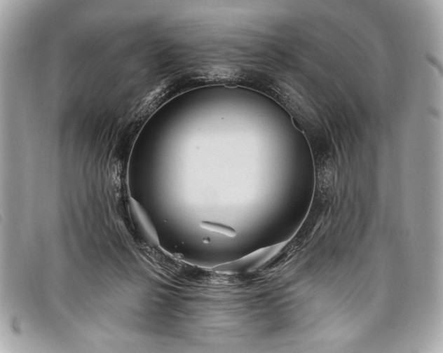 X0000098010264200804071335