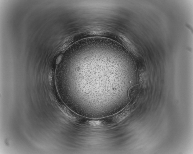 X0000098010265200804071335