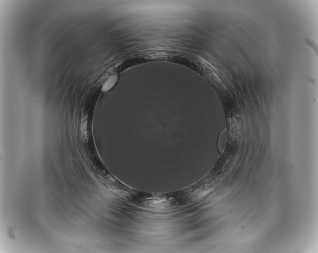 X0000098010267200804071335