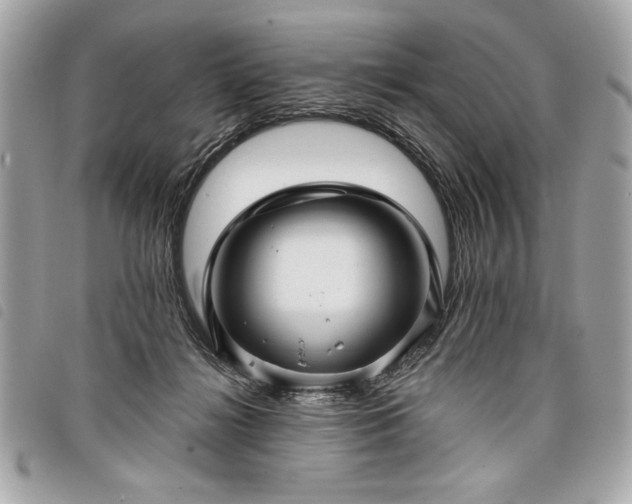 X0000098010268200804071335