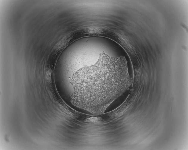 X0000098010269200804071335