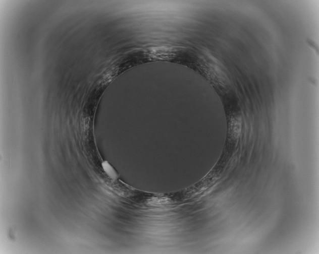 X0000098010271200804071335