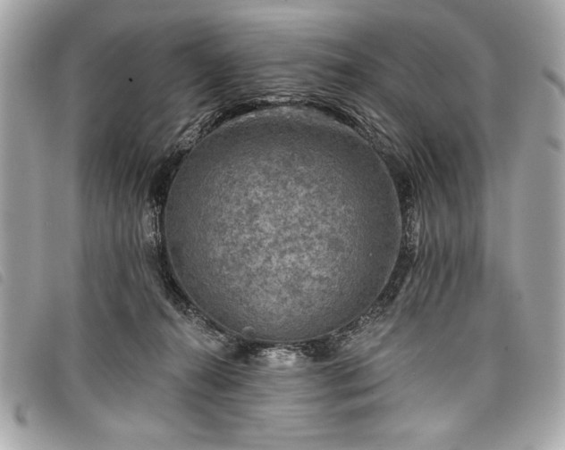 X0000098010272200804071335