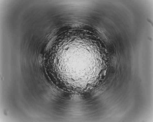 X0000098010273200804071335