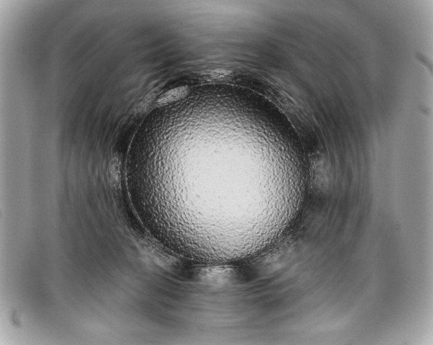 X0000098010274200804071335