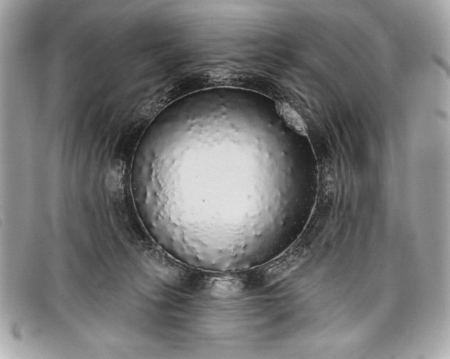 X0000098010275200804071335