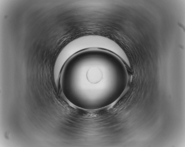 X0000098010276200804071335