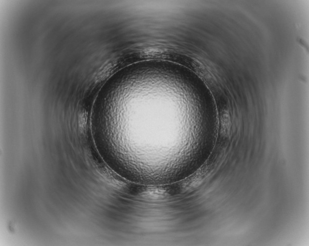 X0000098010278200804071335