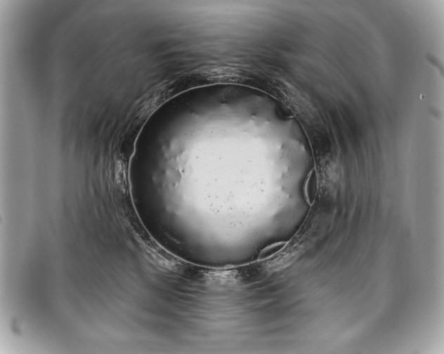 X0000098010281200804071335