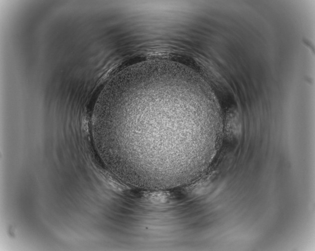 X0000098010282200804071335