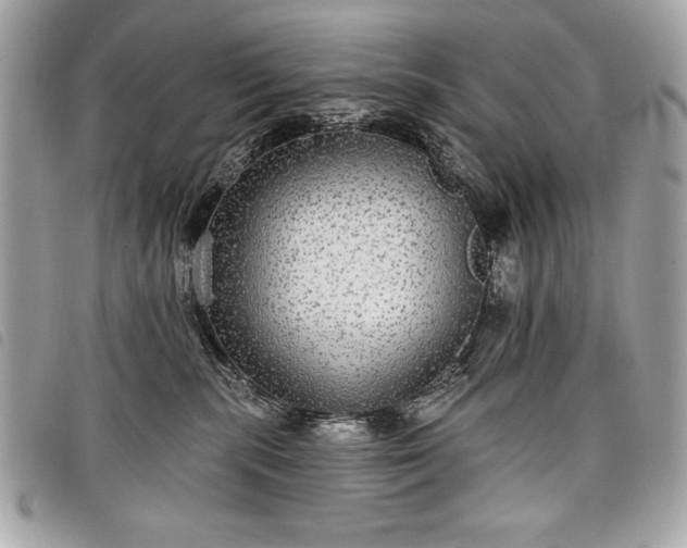 X0000098010283200804071335