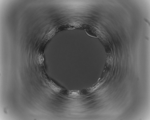 X0000098010285200804071335