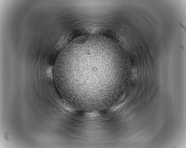 X0000098010286200804071335