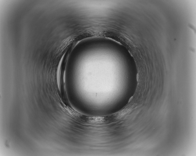 X0000098010288200804071335