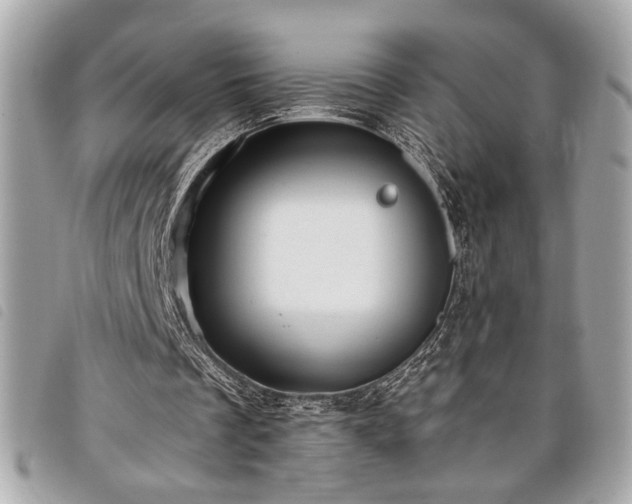 X0000098010289200804071335