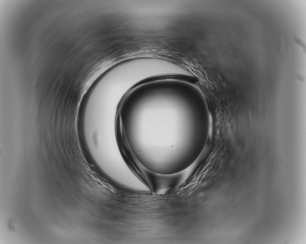 X0000098010292200804071335