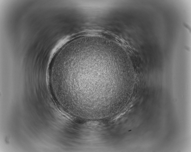 X0000098010294200804071335