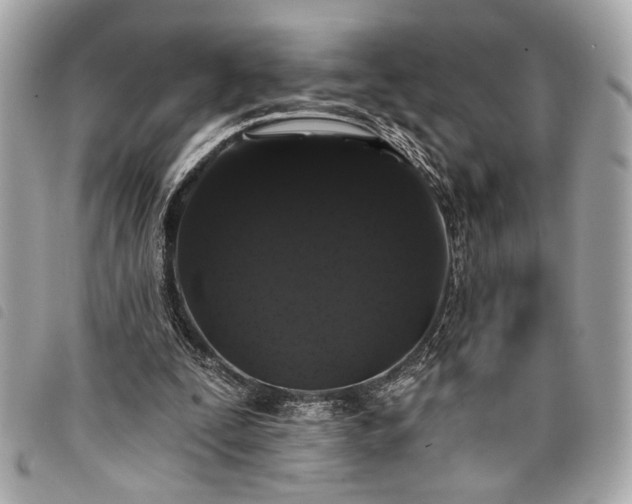 X0000098010295200804071335