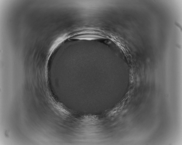 X0000098010296200804071335