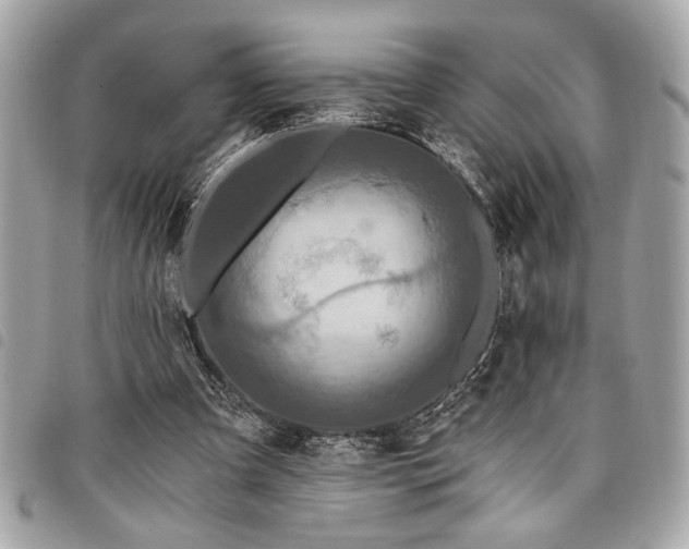 X0000098010297200804071335