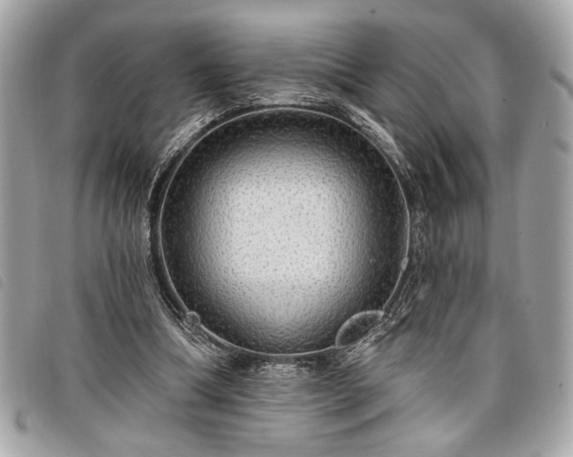 X0000098010298200804071335