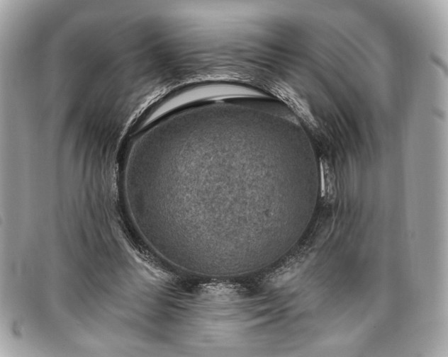 X0000098010300200804071335