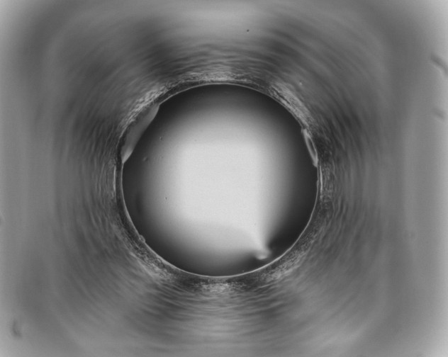 X0000098010301200804071335