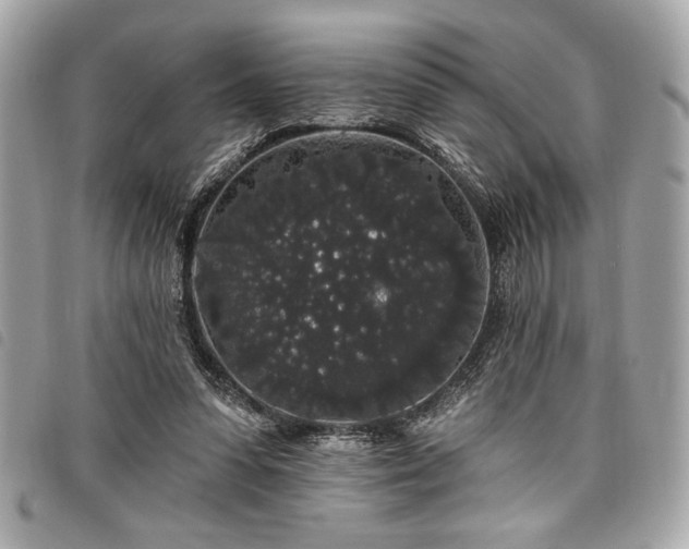 X0000098010303200804071335