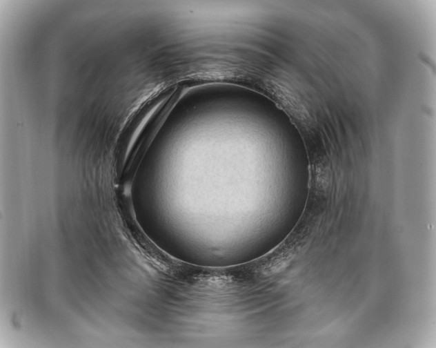 X0000098010304200804071334