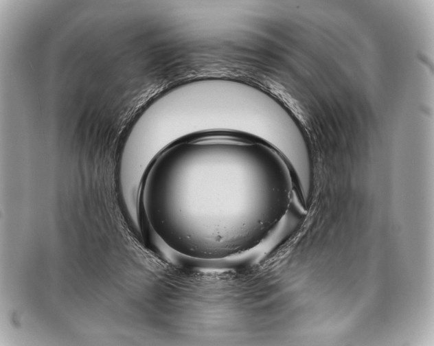 X0000098010305200804071334