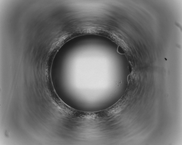 X0000098010306200804071334