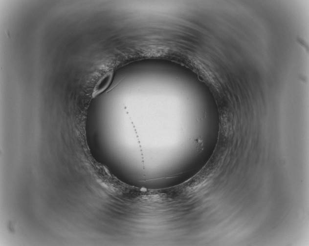 X0000098010307200804071334