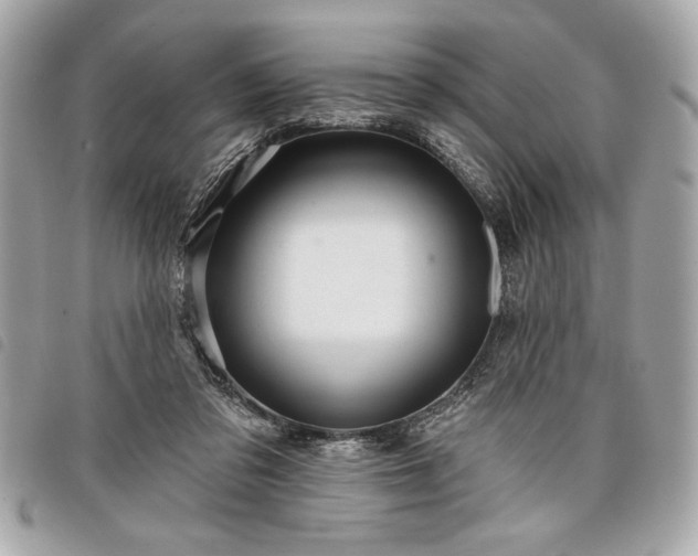 X0000098010309200804071334