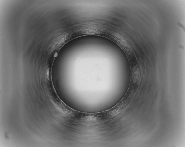 X0000098010310200804071334