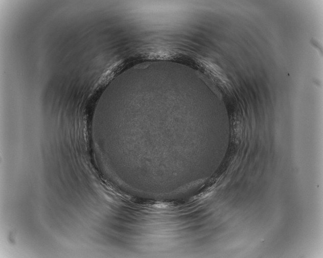 X0000098010312200804071334