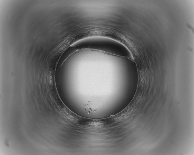 X0000098010313200804071334