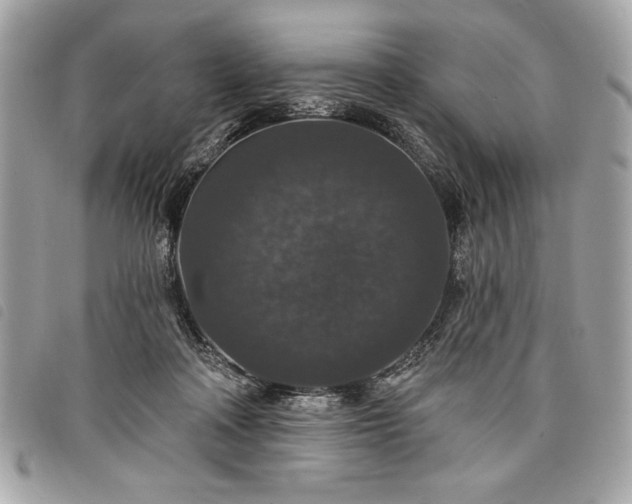 X0000098010314200804071334