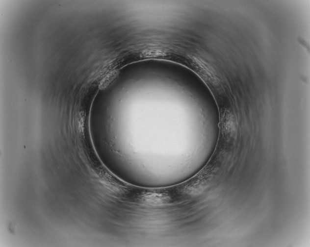 X0000098010315200804071334