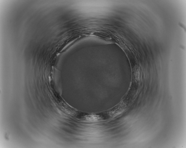 X0000098010316200804071334