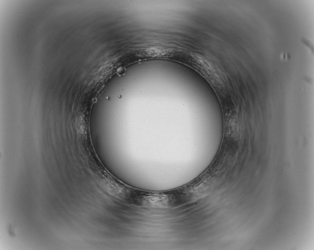 X0000098010317200804071334