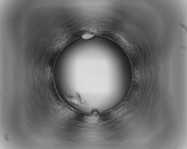 X0000098010318200804071334