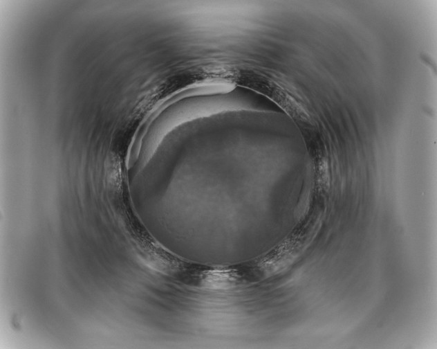 X0000098010320200804071334