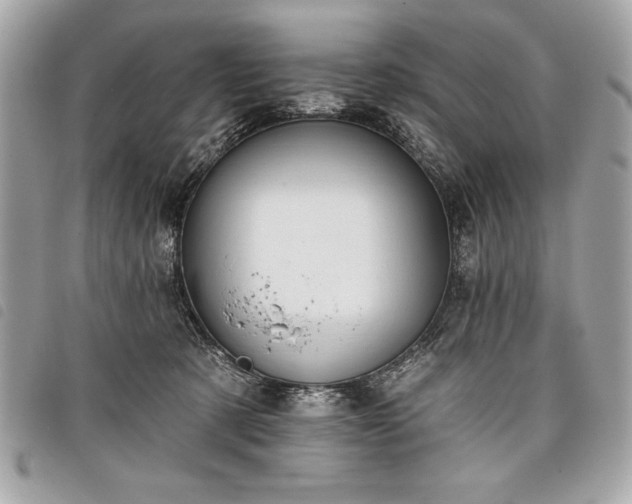 X0000098010321200804071334