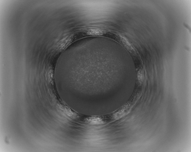 X0000098010322200804071334