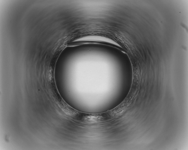 X0000098010323200804071334